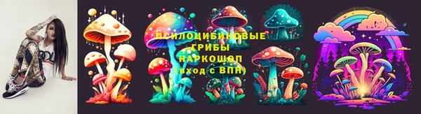 шишки Костерёво