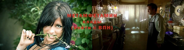 шишки Костерёво