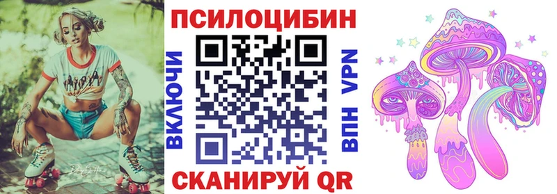 купить цена Абдулино Галлюциногенные грибы мухоморы